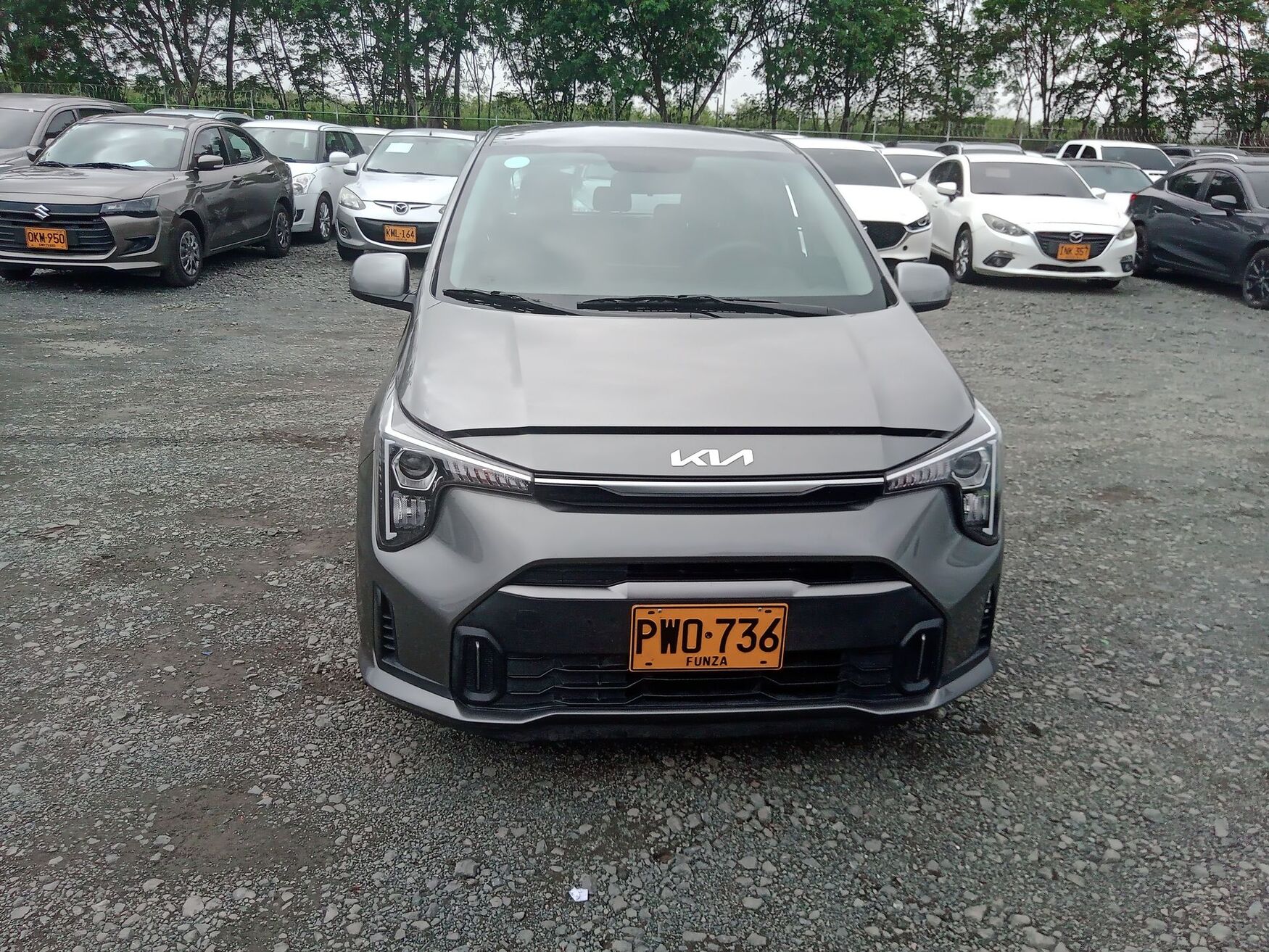 KIA PICANTO 2026