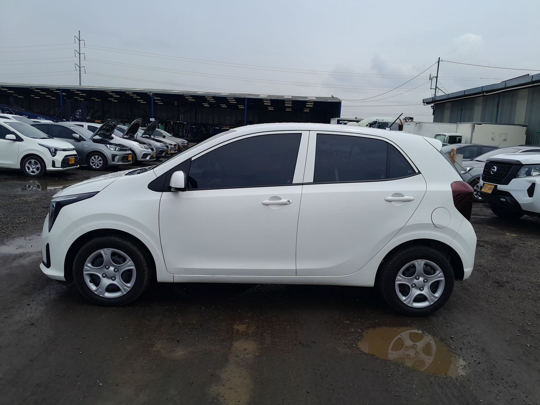 KIA PICANTO 2026