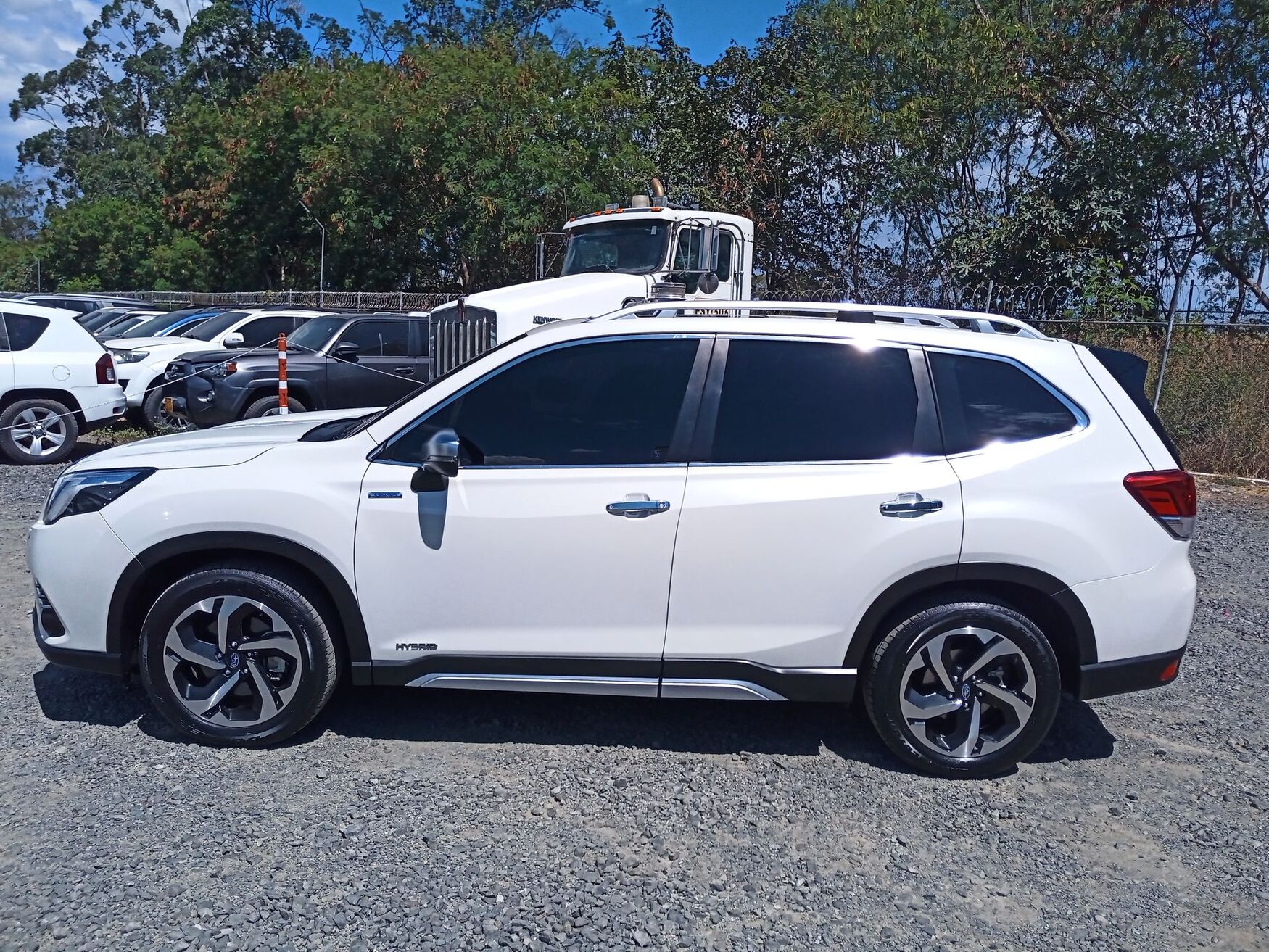 SUBARU FORESTER 2024