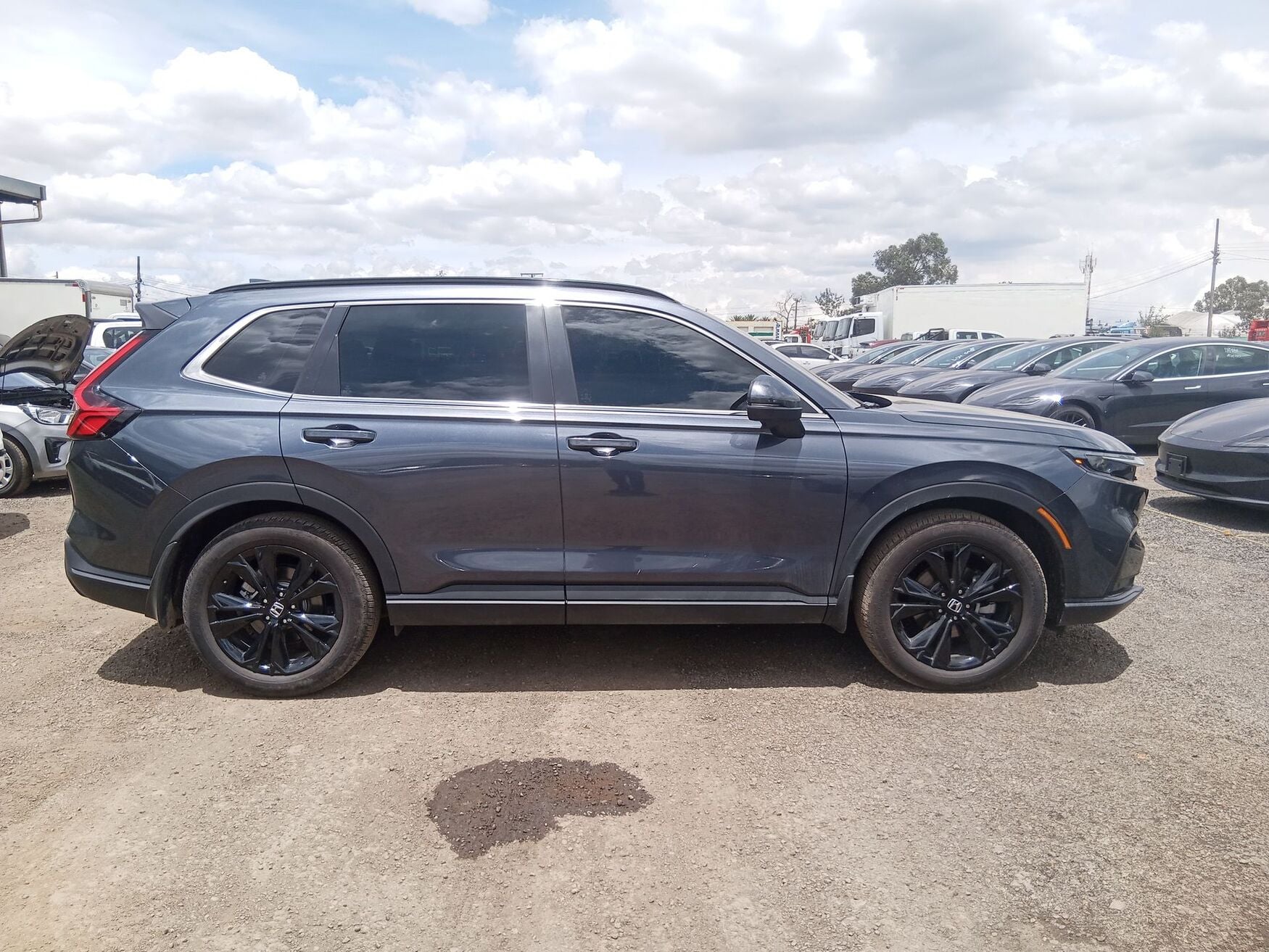 HONDA CR-V 2024