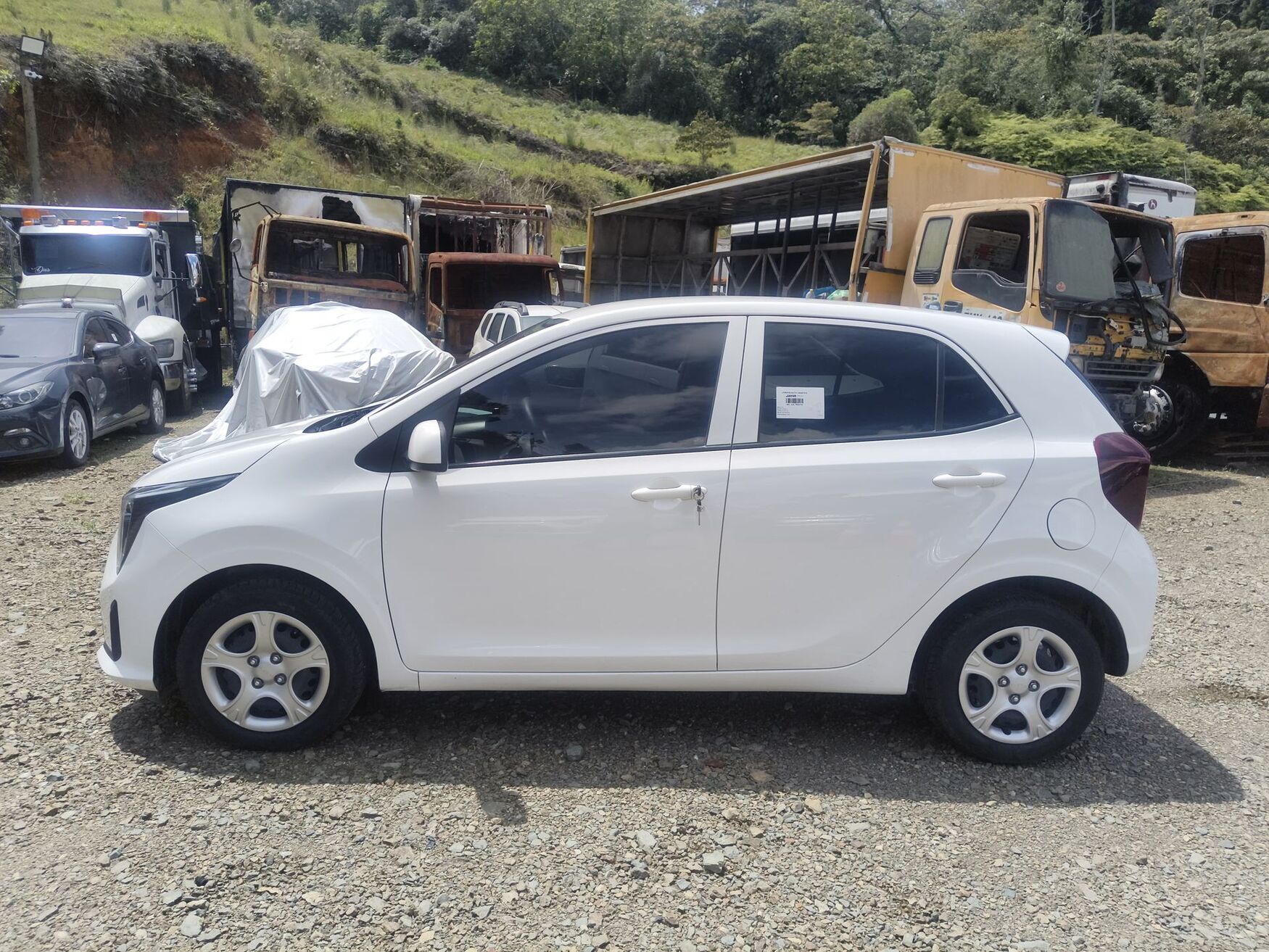 KIA PICANTO 2026