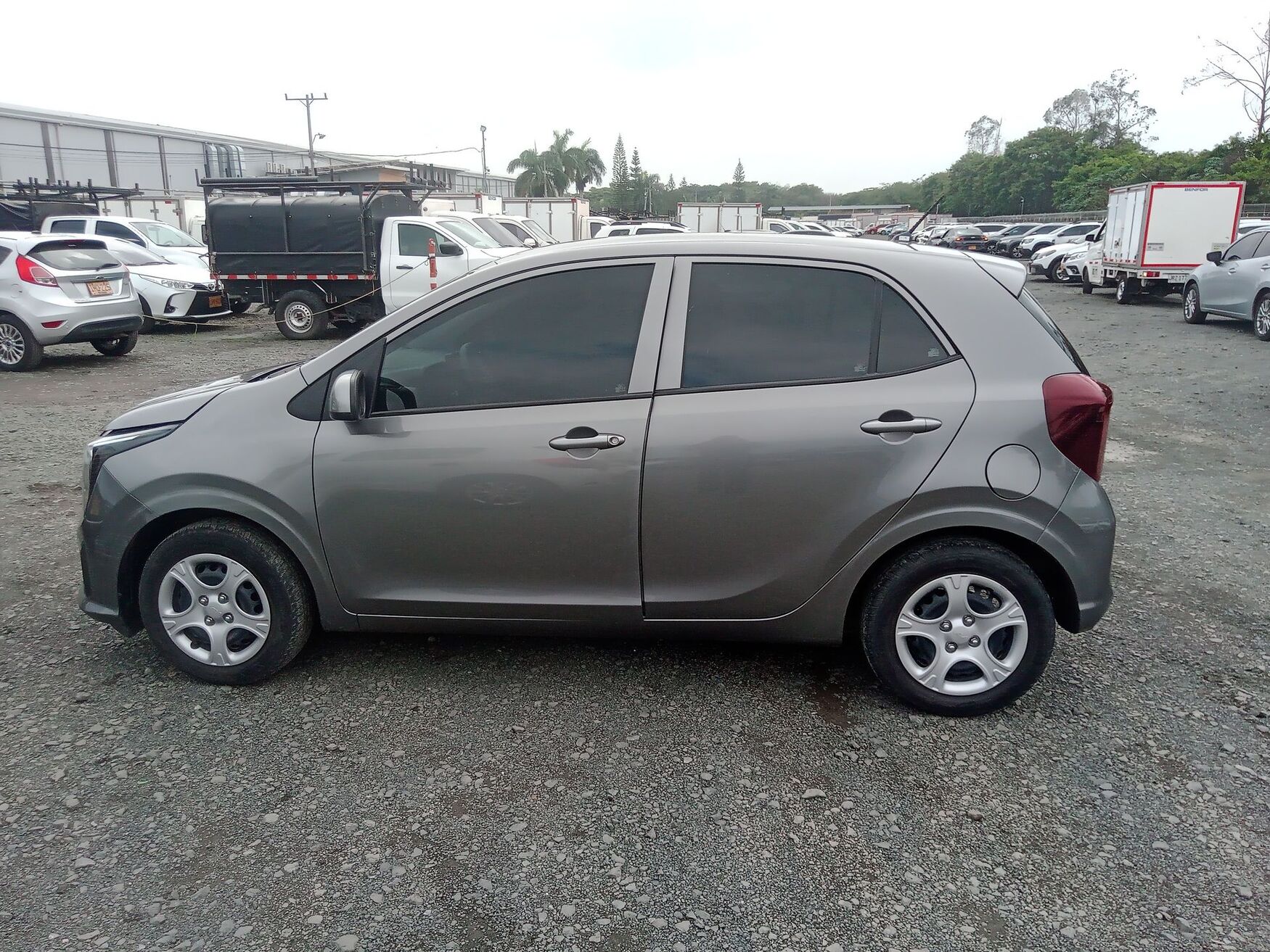 KIA PICANTO 2026