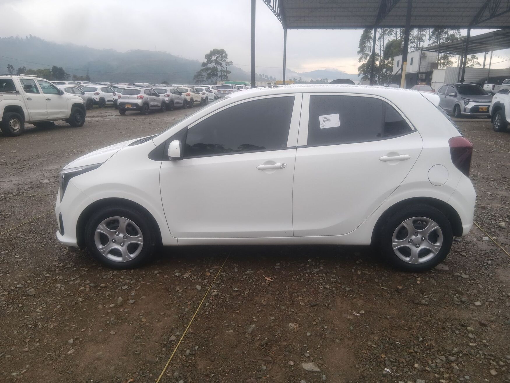 KIA PICANTO 2026
