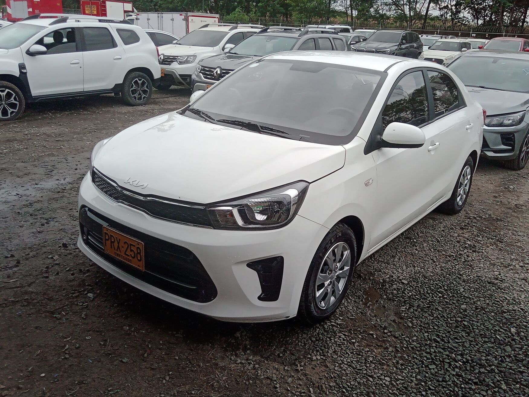 KIA SOLUTO 2026