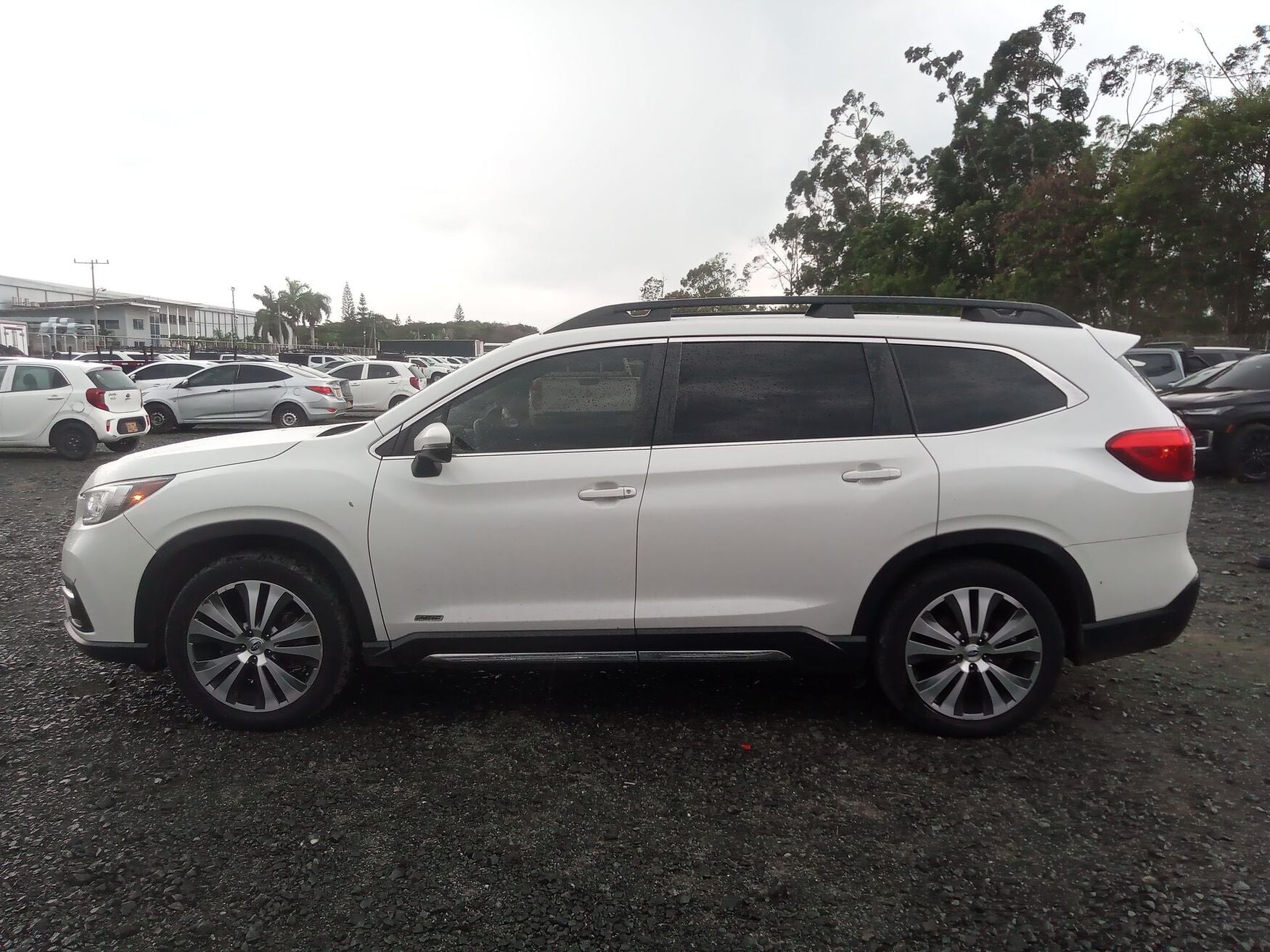 SUBARU EVOLTIS 2022