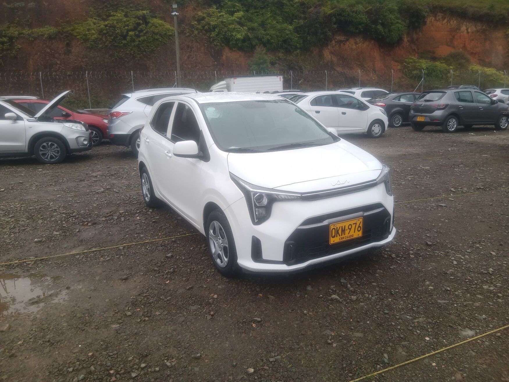 KIA PICANTO 2026