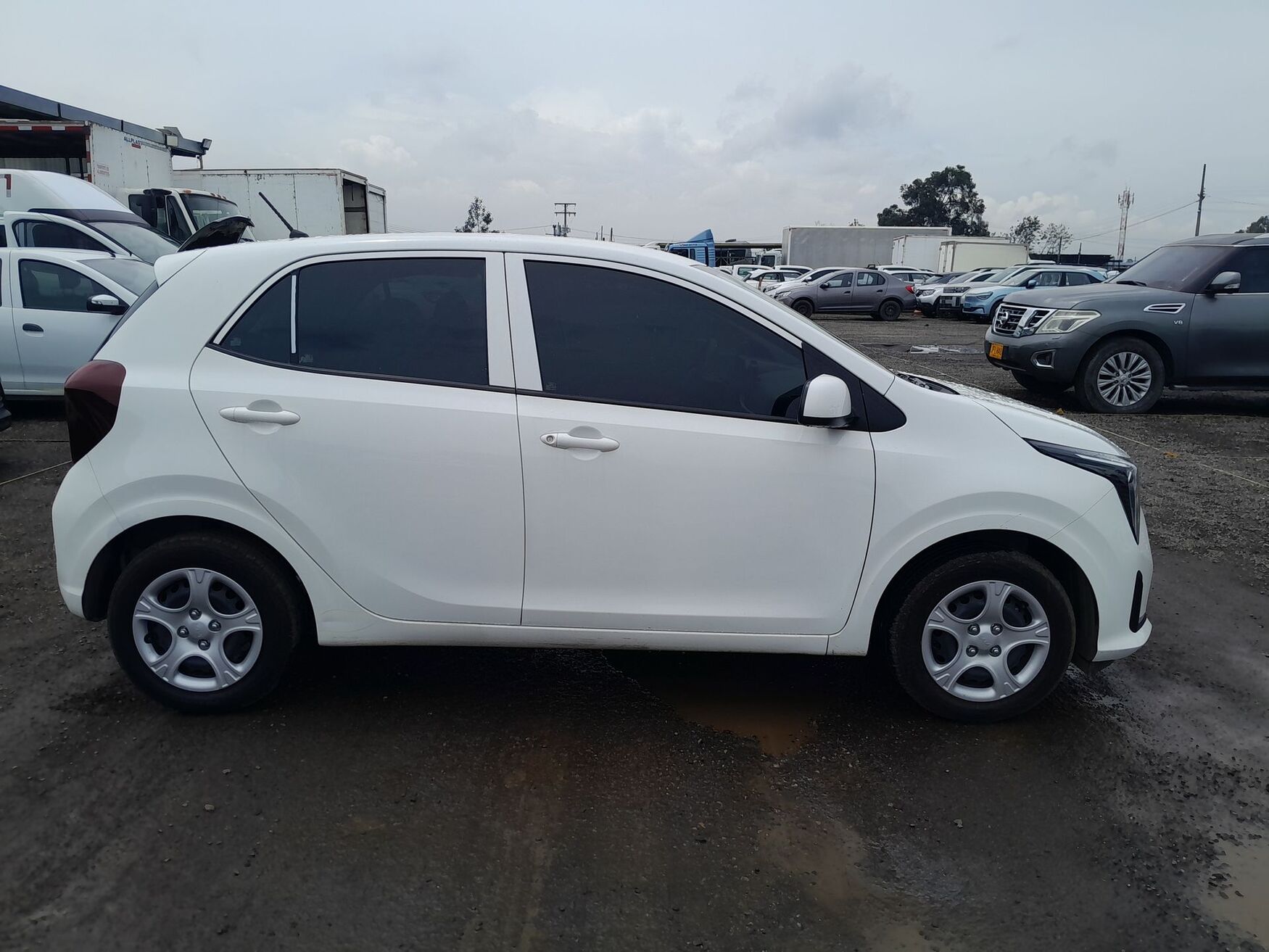 KIA PICANTO 2026
