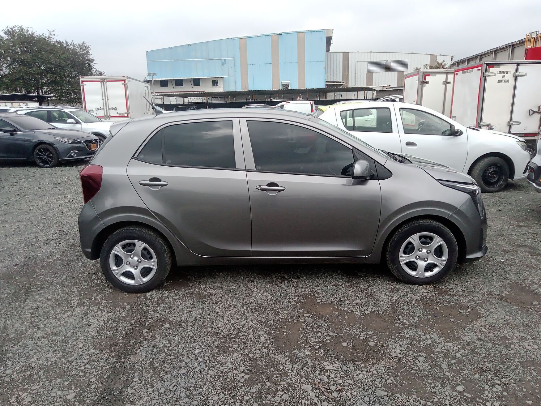 KIA PICANTO 2026