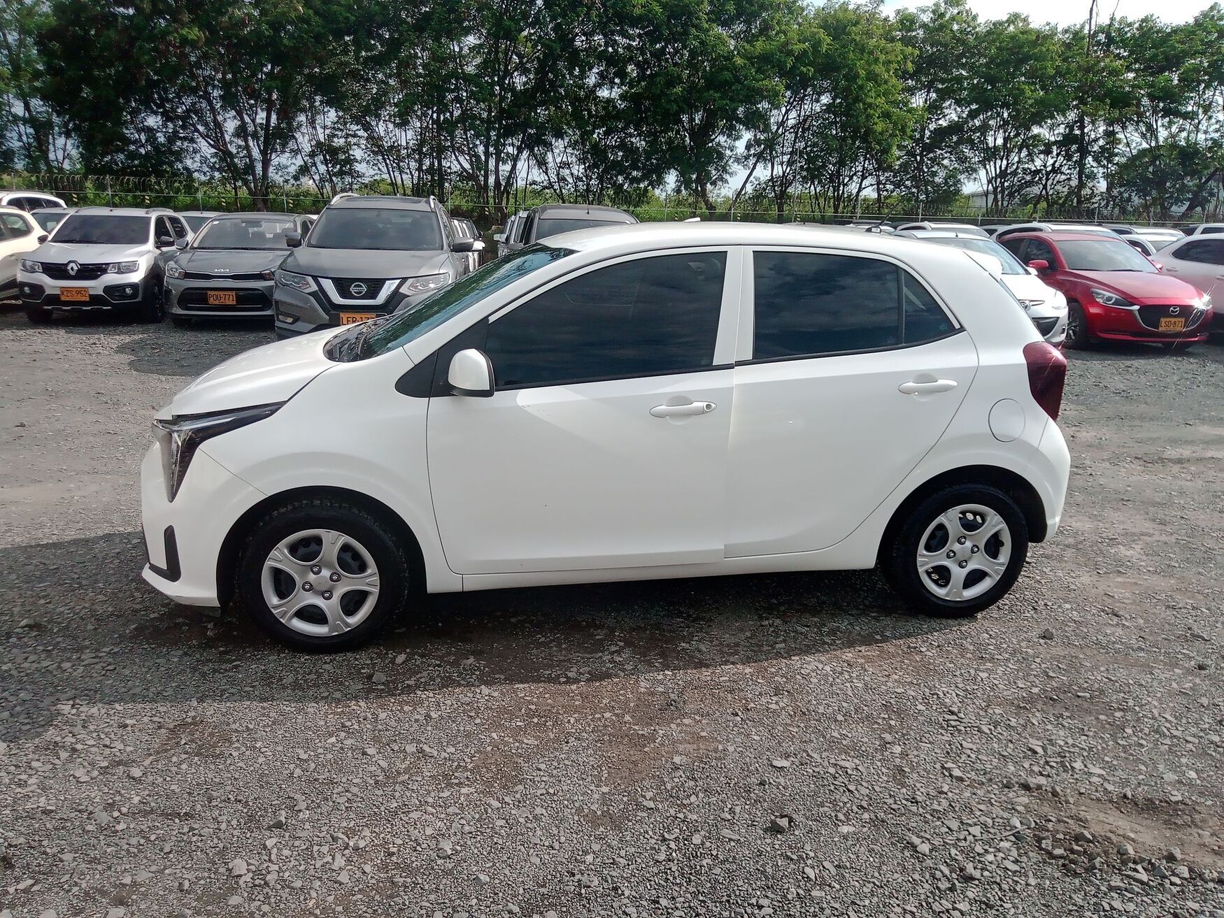 KIA PICANTO 2026