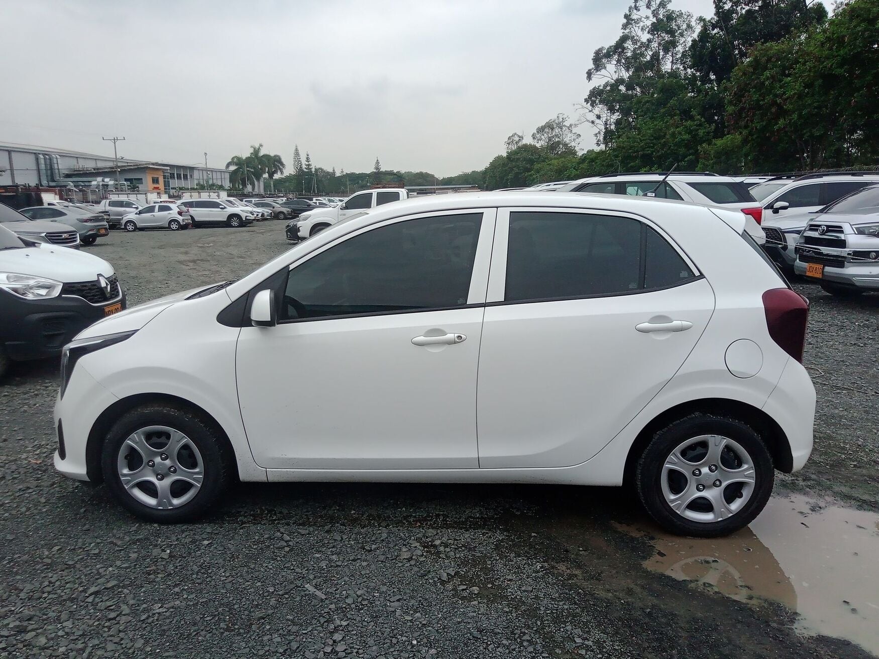 KIA PICANTO 2026