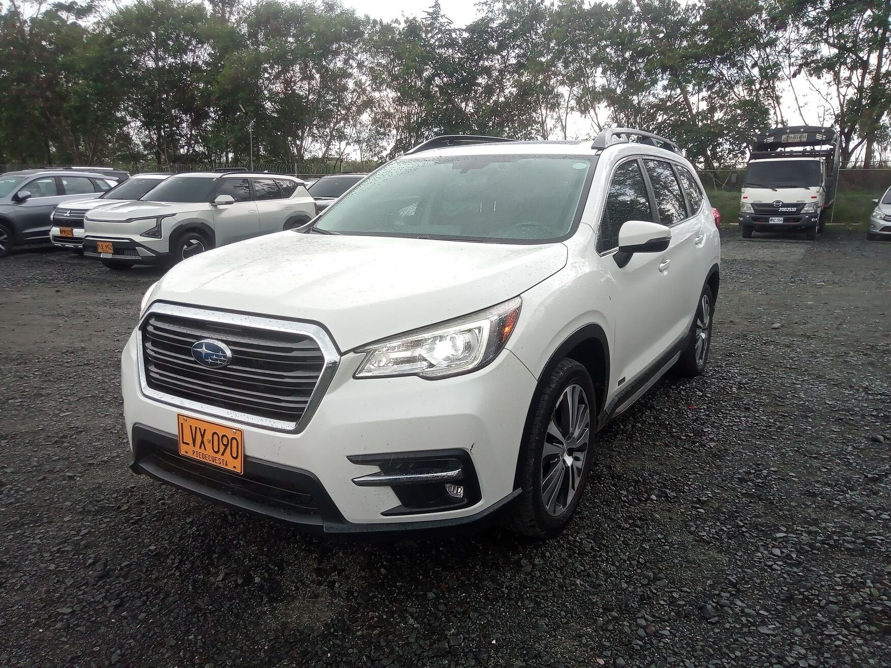 SUBARU EVOLTIS 2022